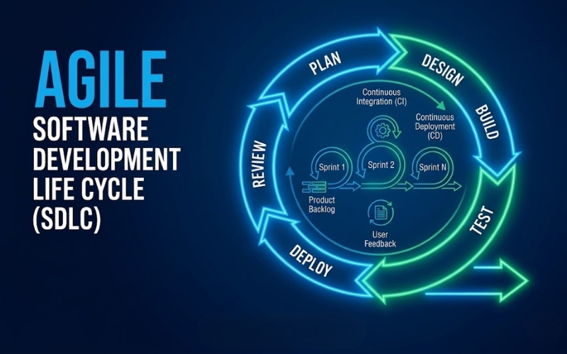 The Strategic Role of Software in the Modern IT Ecosystem